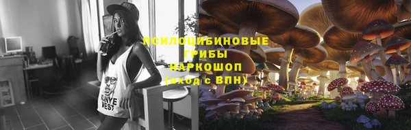 прущие крисы Абаза
