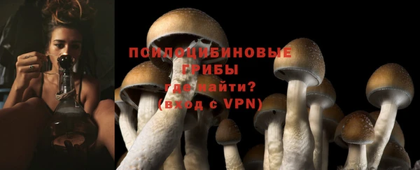 мяу мяу мука Абинск
