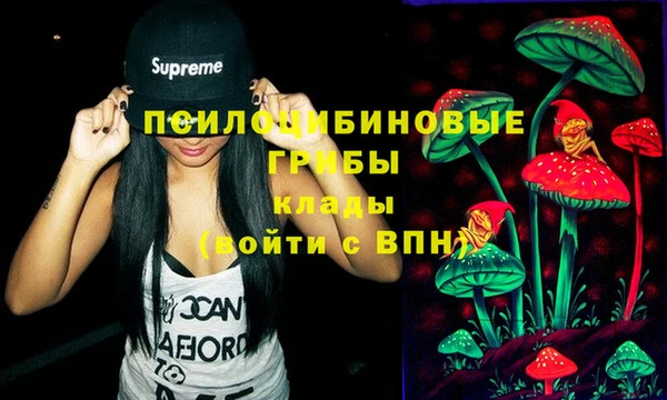 мяу мяу мука Абинск