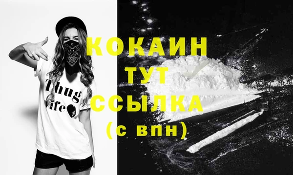 прущие крисы Абаза