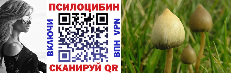 Псилоцибиновые грибы GOLDEN TEACHER  mega зеркало  Сорск  как найти закладки 